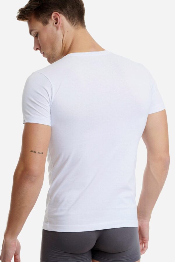  - Image 3