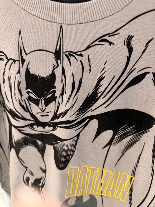 ΦΌΡΜΑ ΒΑΜΒΑΚΕΡΉ ΓΙΑ ΑΓΌΡΙ CIMPA BATMAN ΜΕ ΦΙΓΟΎΡΑ ΚΑΙ ΚΈΝΤΗΜΑ ΓΚΡΙ-BM21578 - Image 6