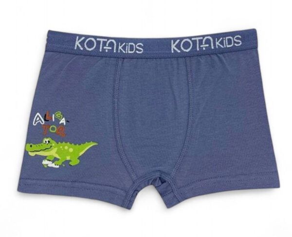 6 BOXER ΠΑΙΔΙΚΌ ΜΕ ΣΧΈΔΙΑ COOL- KT1005 - Image 3