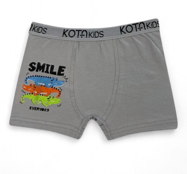 6 BOXER ΠΑΙΔΙΚΌ ΜΕ ΣΧΈΔΙΑ COOL- KT1005 - Image 4