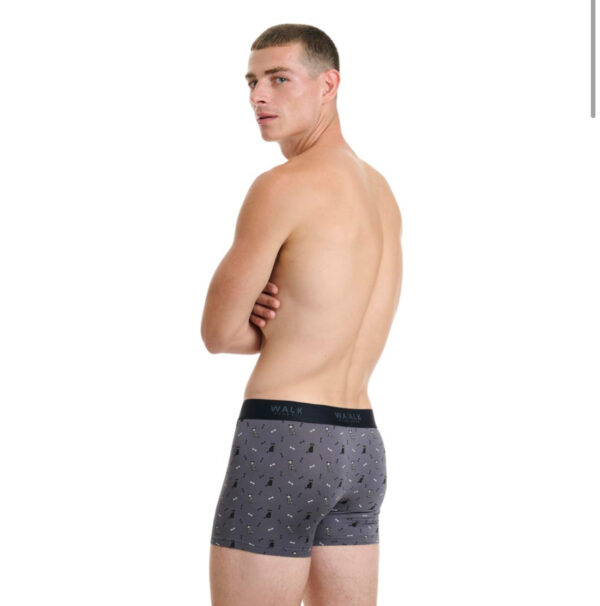 Walk Αντρικό Boxer Bamboo γκρι Multicolor: W1770-66 - Image 3