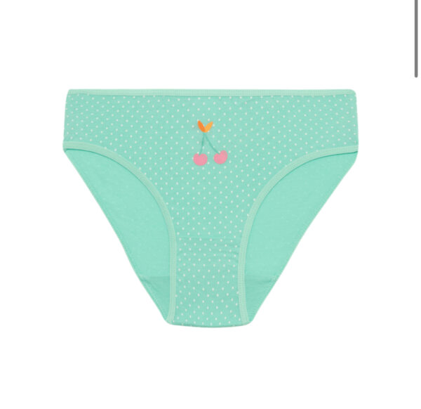 Minerva Παιδικό/Εφηβικό Εσώρουχο Slip Κορίτσι Cats 3τμχ Multicolour:90-42673-327 - Image 3