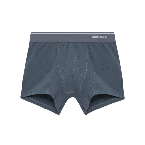 Minerva Παιδικό/Εφηβικό Boxer Αγόρι Camo 2τμχ No 4-16 Γκρι-Μαύρο : 90-42534-226 - Image 3