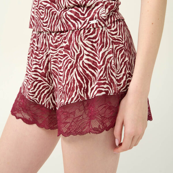 Vamp Micromodal Cheeky Σορτσάκι με Δαντέλα : 23801
